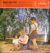 Der Rudolf Lamy-Chor Und Die Wiltener Sängerknaben - Heimat, Deine Lieder