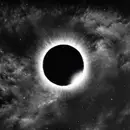 LP - Der Weg Einer Freiheit - Stellar