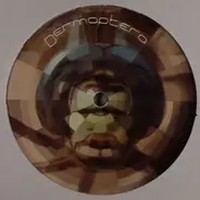 Dermaptera - Dermaptera 1
