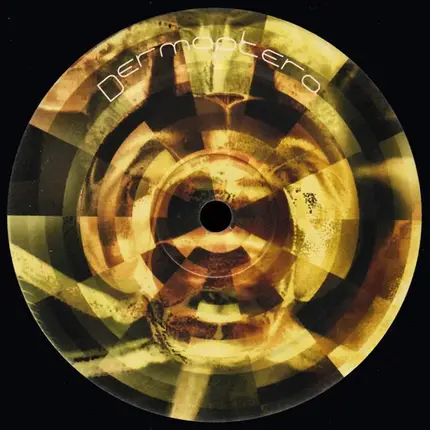 Dermaptera - Dermaptera 4