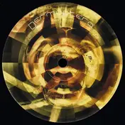 Dermaptera - Dermaptera 4