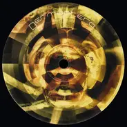 Dermaptera - Dermaptera 4
