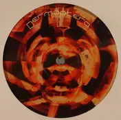 Dermaptera - Dermaptera 5