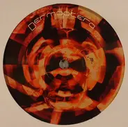 Dermaptera - Dermaptera 5