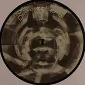 Dermaptera - Dermaptera 6
