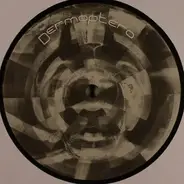 Dermaptera - Dermaptera 6