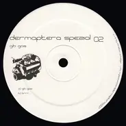 Dermaptera - Gib Gas