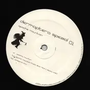 Dermaptera - Apache Mountain