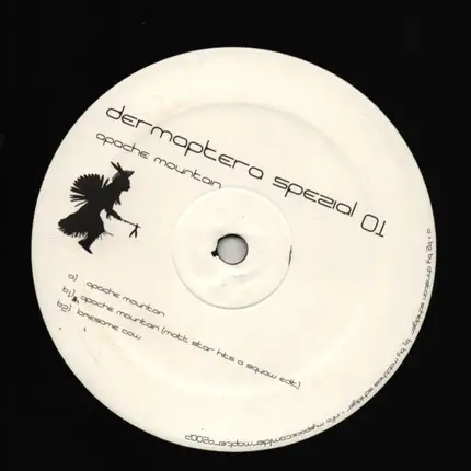 Dermaptera - Apache Mountain