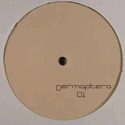 Dermaptera - Dermaptera 1