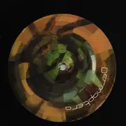 Dermaptera - Dermaptera 2