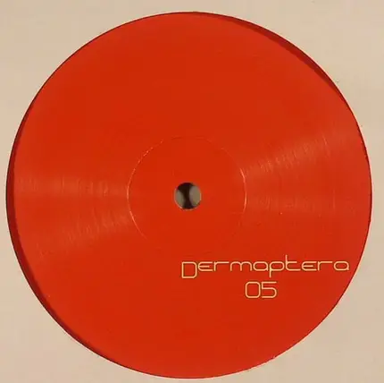 Dermaptera - Dermaptera 5