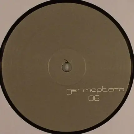 Dermaptera - Dermaptera 6