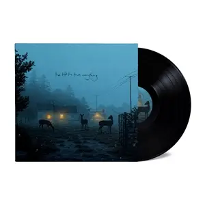 Dermot Kennedy - I've Told the Trees Everything (v12)