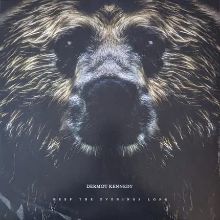Dermot Kennedy - Keep The Evenings Long