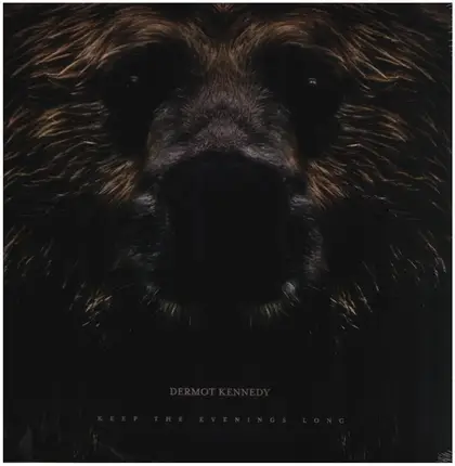 Dermot Kennedy - Keep The Evenings.. -Rsd-