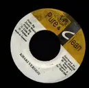 7inch Vinyl Single - Derrick Parker - Rhythm Of The Night