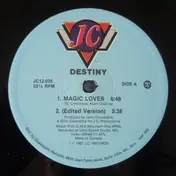 The Destiny - Magic Lover