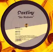 The Destiny - No Return