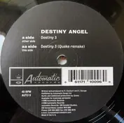 Destiny Angel