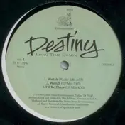 The Destiny - Long Time Comin'