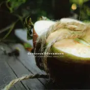 Destroyalldreamers - À Coeur Léger Sommeil Sanglant