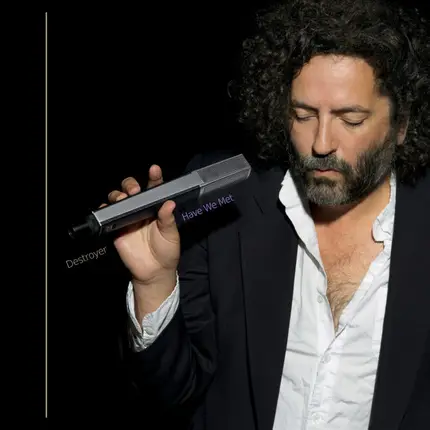 Destroyer - Have We Met