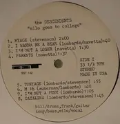 LP - Descendents - Milo Goes To College