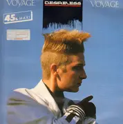 12inch Vinyl Single - Desireless - Voyage Voyage