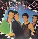 12'' - Desperados - The End Before The Beginning - French Punk 1980