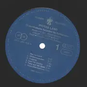 LP - Detlef Gödicke - Weites Land