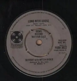 Detroit Electro Orchestra - It Ain't Easy / Long Neck Goose
