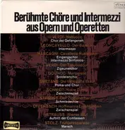 Deutsche Oper, Wiener Volksoper & -Staatsoper - Berühmte Chöre und Intermezzi aus Opern und Operetten