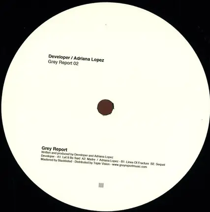 Developer / Adriana Lopez - Grey Report 02