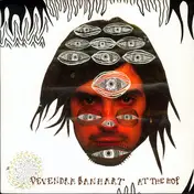 Devendra Banhart - At The Hop