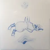 Devendra Banhart - Ape in Pink Marble