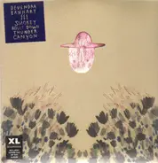 Devendra Banhart - Smokey Rolls Down Thunder Canyon