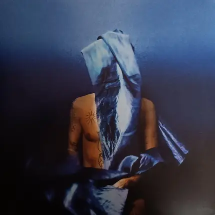 Devendra Banhart - Flying Wig