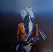 LP & MP3 - Devendra Banhart - Flying Wig - +poster +download card