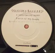 7inch Vinyl Single - Devendra Banhart - Little Yellow Spider