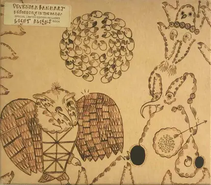 Devendra Banhart - Rejoicing in the Hands