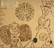 CD - Devendra Banhart - Rejoicing In The Hands