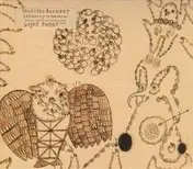Devendra Banhart - Rejoicing in the Hands