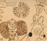 Devendra Banhart - Rejoicing in the Hands