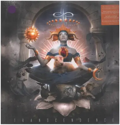 Devin Townsend Project - Transcendence
