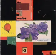 CD - Devine & Statton - The Prince Of Wales