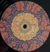 Double LP - Dewolff & Metropole Orchestra - Live At Royal Theatre Carré - Ltd ed