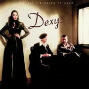 Double LP - Dexys Midnight Runners - One Day I'm Going To Soar - Colour Vinyl