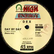 12inch Vinyl Single - Dex - Day By Day