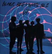D'F - Black Bee & White Bee